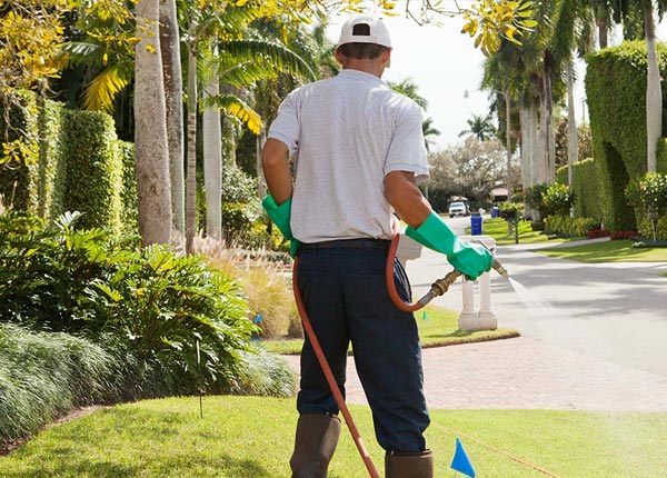About Augusta IL Pest Control